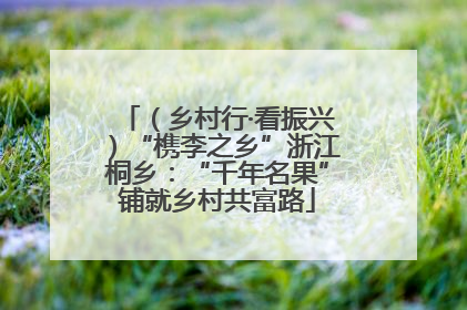 （乡村行·看振兴）“槜李之乡”浙江桐乡：“千年名果”铺就乡村共富路